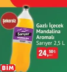 SARIYER GAZLI İÇECEK MANDALİNA AROMALI